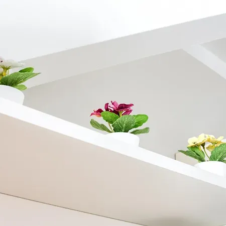 アパート Soncas *